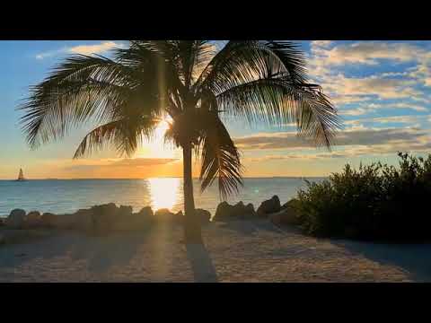 موسيقى بيانو للاسترخاء - دراسة - نوم عميق - هدوء