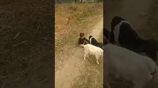 Download lagu Alam.Muhammad mp3 Download lagu Alam.Muhammad mp3