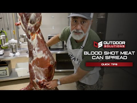 Deer Processing 101: How To Deal With Blood Shot Deer Meat