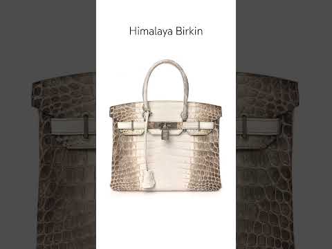 Rare Birkin Bags