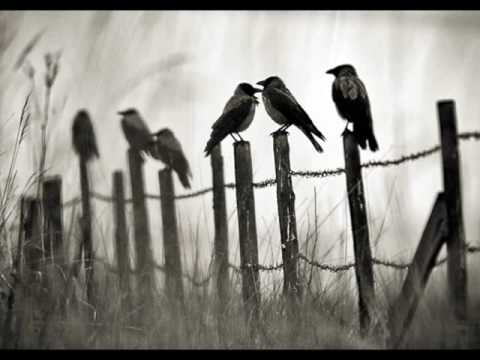 Marek Torzewski - Nie oczekuję już