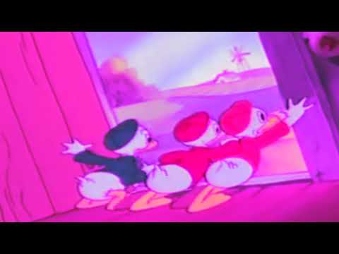 odfutraniestaje - -.;,--.-;---,.;,.6;,.,6,.;6',;