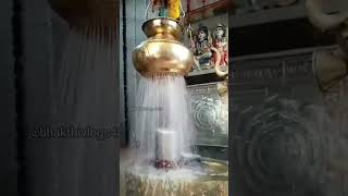 Most Powerful Shiva Gayatri Mantra #bhakthi  Whats