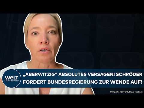 DEUTSCHLAND: "Aberwitzig" Versagen der Bundesregierung! Schröder fordert Klimaanlagen-Wandel