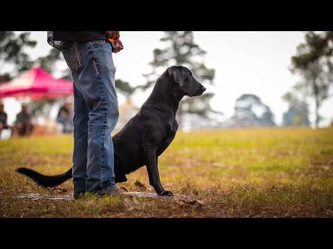 2022 SRS CROWN CHAMPIONSHIP - SHREVEPORT, LA - SHOW 3
