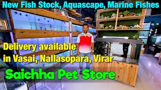Are You Ready for the FRESHEST Fish at Saichha Pet Store?