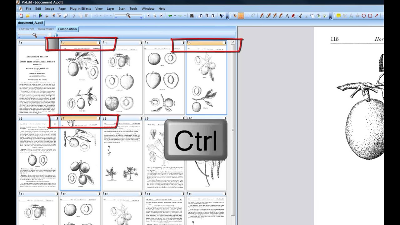 05 How to select image pages