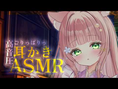 【ASMR/KU100】即眠る為の両耳かき🌟ベビー綿棒/梵天/太綿棒/竹鼓膜耳かき【earcleaning/睡眠導入/Vtuber/こりす/アーカイブ無し/repeat】