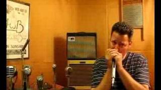 Video thumbnail for ElectroVoice EV 674 Chop Harp Mic-big bottom! by GoldenBug