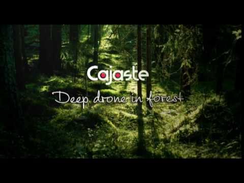 Cajaste-Deep drone in Forest