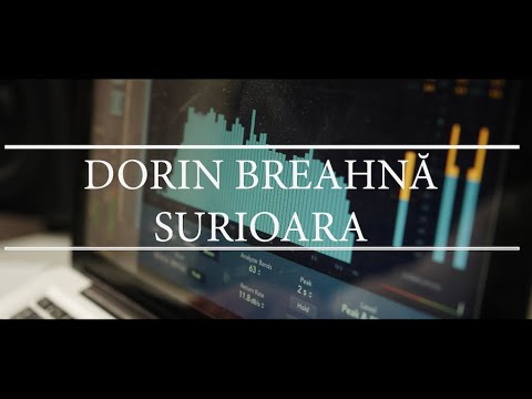 Dorin Breahna - Surioara