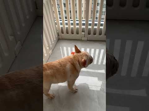 If you continue to play like this, you will sooner or later become a fat man who doesn’t know the