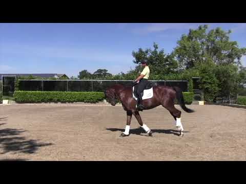 Improve your flatwork with Dan Sherriff | Horse&Rider and Baileys Horse Feeds
