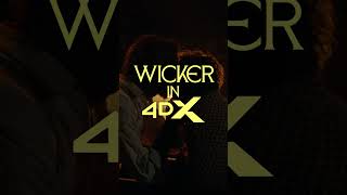 One Night With Wicker In 4DX