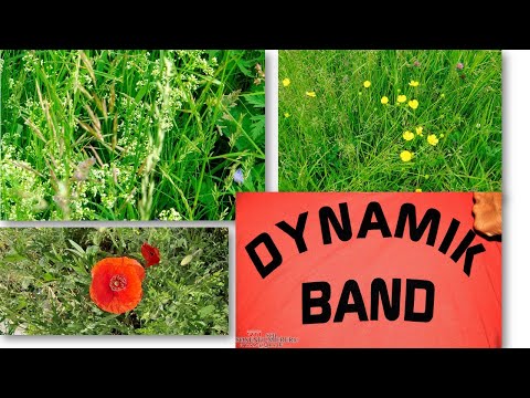 2020 06 28 Dynamik-Band_2013