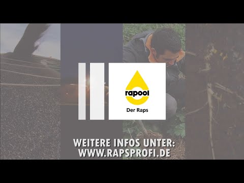 RAPOOL: Die digitalen Rapsprofi-Wochen (Trailer)