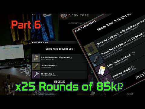 Escape From Tarkov | x25 Openings of 85k Roubles Scav Case