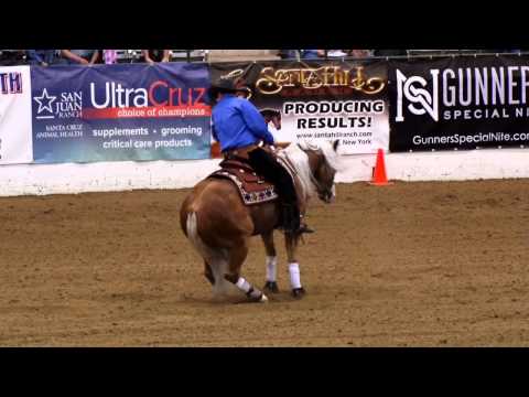 Wimpys Little Freckl ridden by Peter DeFreitas - 2015 NRBC(Open Finals)