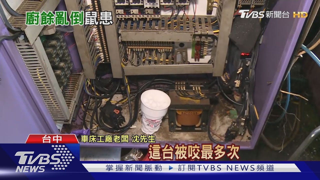 控亂倒廚餘!車床工廠鼠患 咬壞機具修百萬