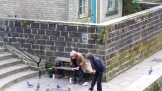old drunk kicks pigeon.