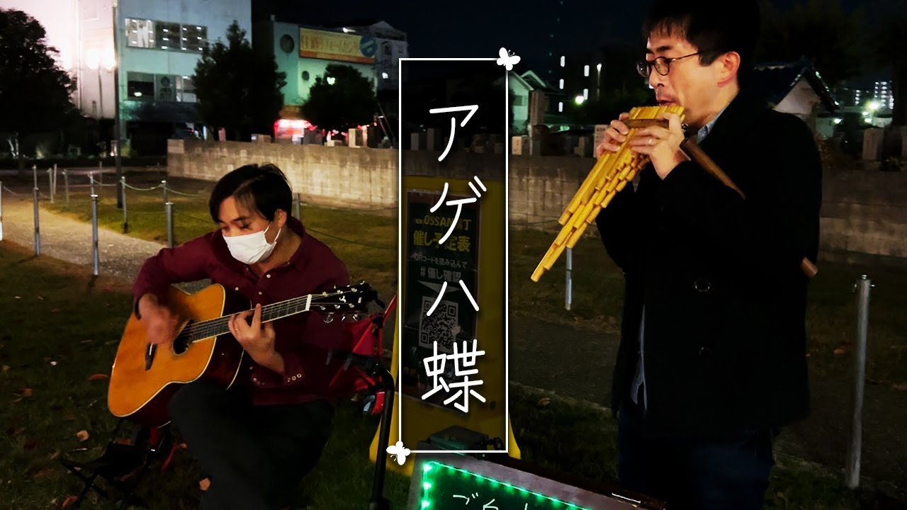 【神回】通行人による世界最古の笛とギターによるアゲハ蝶セッション