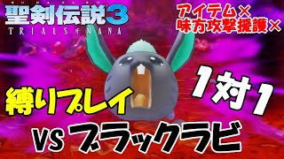 【聖剣伝説3 リメイク】１対１で戦ってみた！デュランVSブラックラビ！アイテム、味方の攻撃援護なし【縛りプレイ】