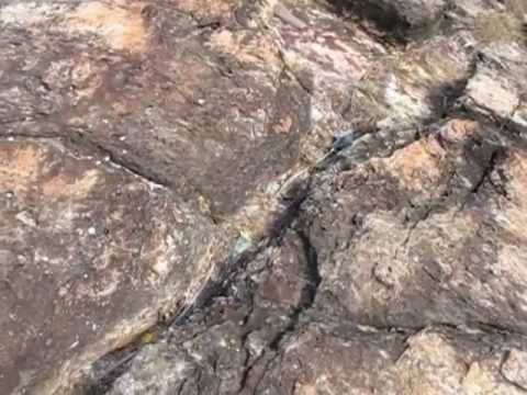 "Slice of Heaven" - Mystic Seafront,  Mulloor, Thiruvananthapuram