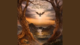 Far Above the Trees