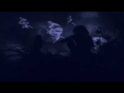 Świat Czarownic i Robert Brylewski - Border