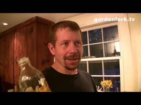 Rice and Beans Recipe GardenFork