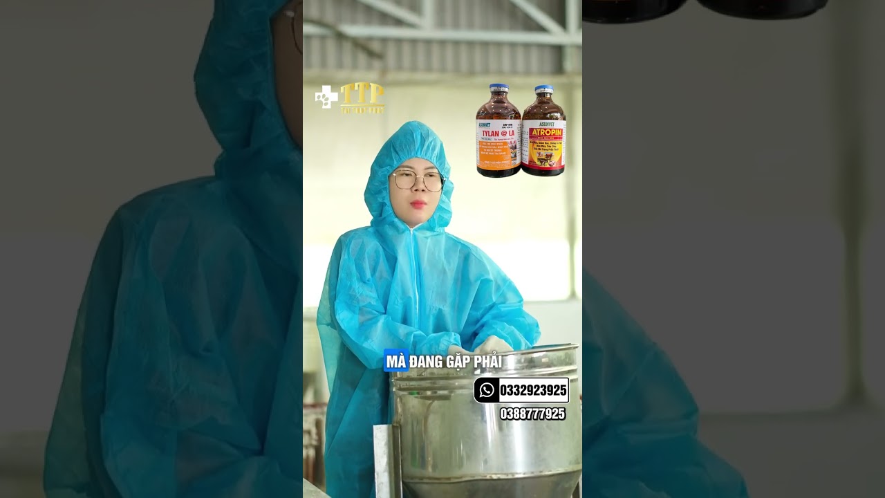 Đừng để heo suy kiệt vì tiêu chảy – Tylan + Atropin chính là lựa chọn tối ưu!