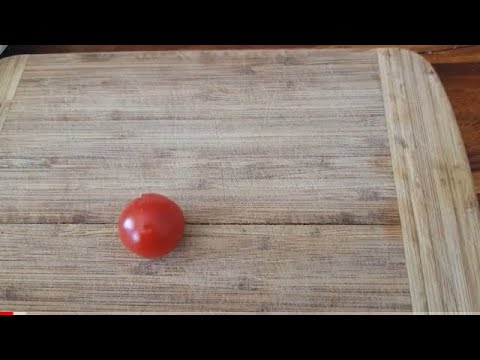 , title : 'Tomaten nach dem Mondkalender selber erfolgreich ziehen Samen Ausaat super easy'