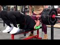 500x20 BENCH PRESS LARRYWHEELS