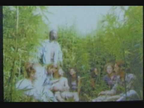 Mackating - Tears Of An Angel (Shemesh UK 1996)