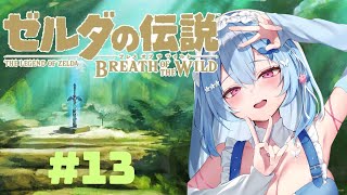 【ゼルダの伝説】　#13 ついにマスタードを…！！！！