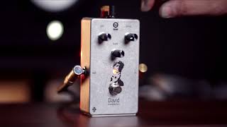 Video thumbnail for Dophix David Over Distortion by Iga Massardi