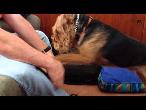 Jeb plays on the iPad