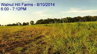 preview picture of video 'Preseason dove scouting - www.huntbcs.com'