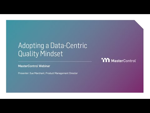 Adopting a Data-Centric Quality Mindset