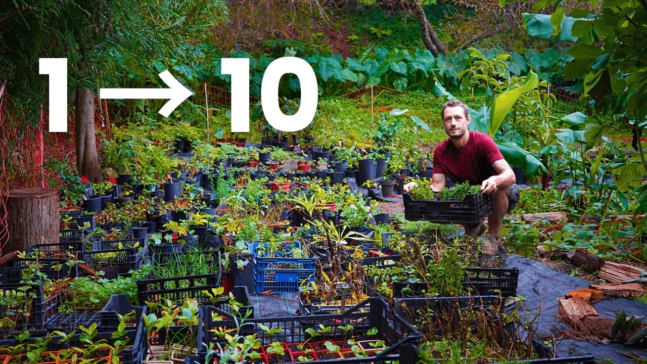 Stop buying plants, grow your own like this