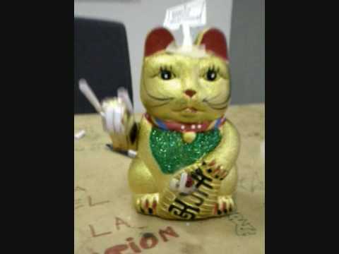 IN MEMORIA DI MAO, DIO DI NOVOGRAD (D5)