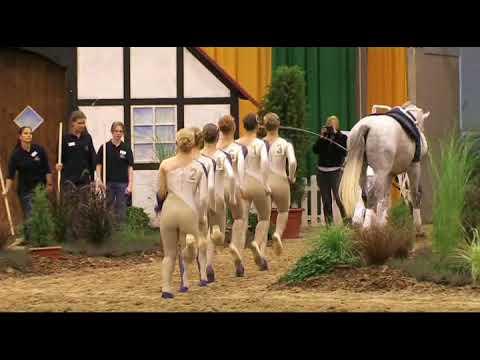 DVM 2013   Gruppen 18   Hoisbüttel I