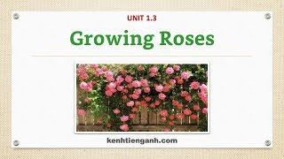 [Unit 1.3] Growing Roses - Listening English Through Dictation