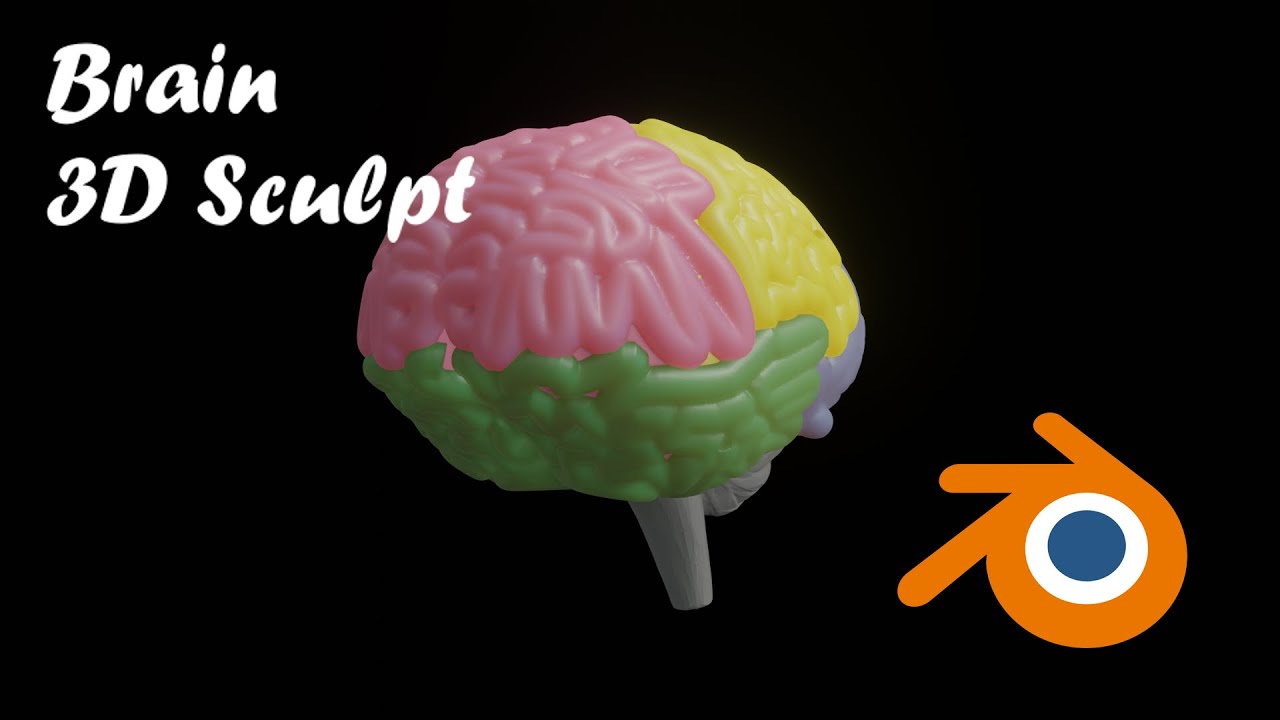 HUMAN BRAIN 3D BLENDER SCULPT TIMELAPSE - files available