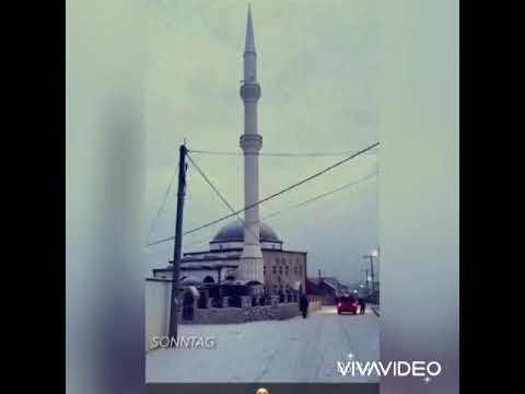 ☝️Xhamit e fashatit nikushtak☝️