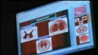 Dr Gehan Slides (2) 30-4-2014