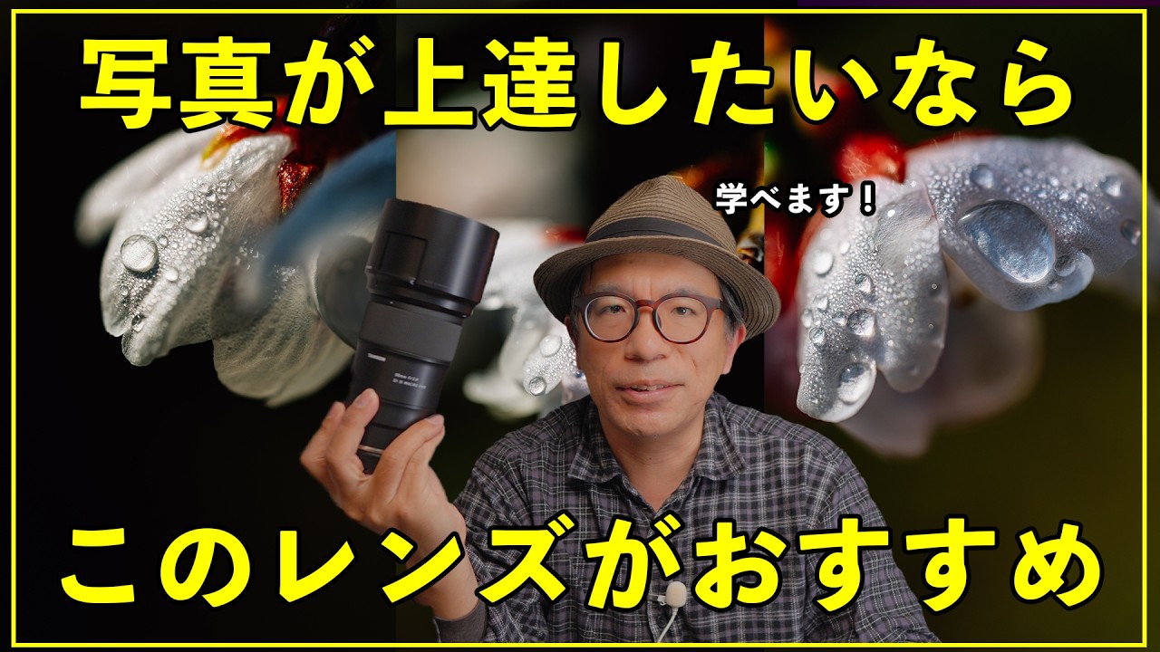 【カメラ初心者】「え、こんなに違う？」春の写真が激変するおすすめレンズ