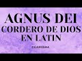 AGNUS DEI Cordero De Dios EN LATIN