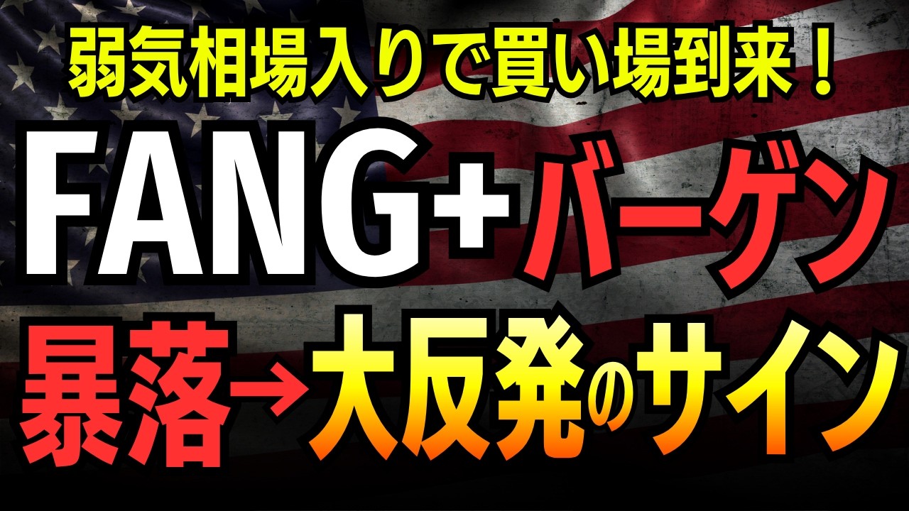 【史上初】FANG+が5ヶ月連続下落へ。暴落を最大のチャンスに変える個人投資家の最強戦略【2026年最新】