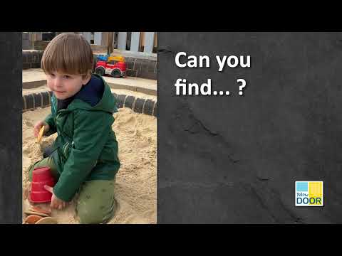 Slide 6 - Let's Investigate, Seashore, Set of 8 (video)